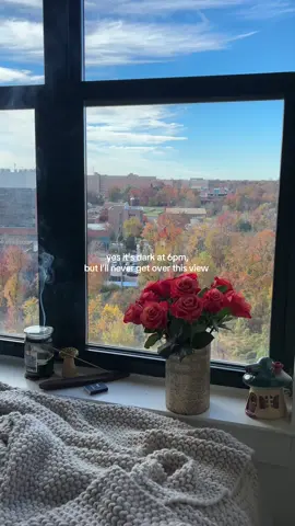 campus is so pretty right now wow 🍂🐿️📚 #college #fall #umd #collegelife #fyp 