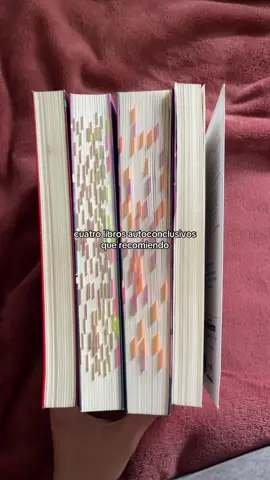 #evelynhugo #elmapadelosanhelos #elartedesernosotros #eldiaquedejodenevarenalaska #BookTok 