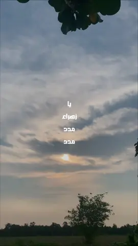 الليالي الفاطمية… نبض حزنٍ يهمس في القلوب، يذكّرنا بجراح الزهراء (ع) عند باب بيتها 💔 ليالٍ تُشرق فيها الدموع نورًا، وتجدد فيها الأرواح حبّها وولاءها لسيدة الطهر والعفاف (ع). 🌙