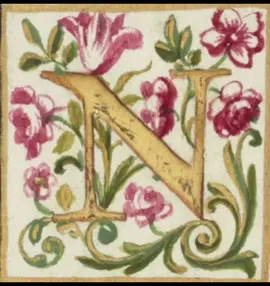 N version #initial #fyp #viral #N #fypppppppppppppp 