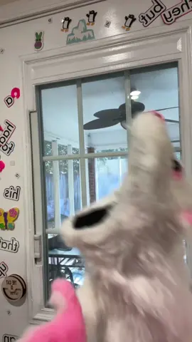 Everybody Sing! 🎤🎶 #adhd #adulting #ihaveissues #ymca #villagepeople 