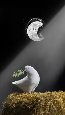 #قرآن #أرح_سمعك_وقلبك #فذكر_فإن_الذكرى_تنفع_المؤمنين #quran_alkarim #quran 