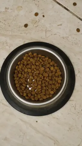 тгк пузожители ПОДПИШИСЬ