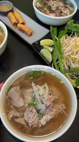 Pho weather >> your sign to go get some Pho!! 📌 Authentic Vietnamese Pho House #pho #ottawafoodies #greentea #fyp