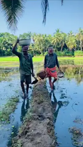 🍃🍃🍃..... 🌾🌾🌾