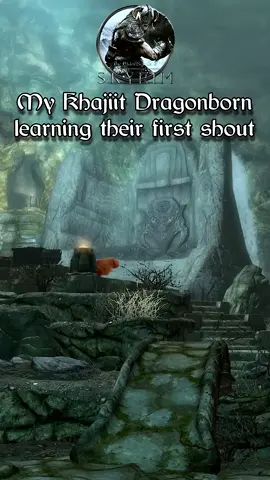 My Khajiit Dragonborn learning their first shout 😂😂😂 #tes #memes #skyrim 