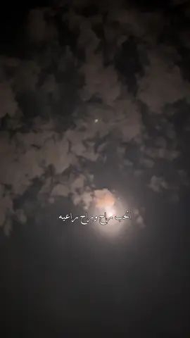 الحب راح ❣️❣️#تصاميم_صلوح🧑‍🦯 #explore #ظافر_الحبابي 