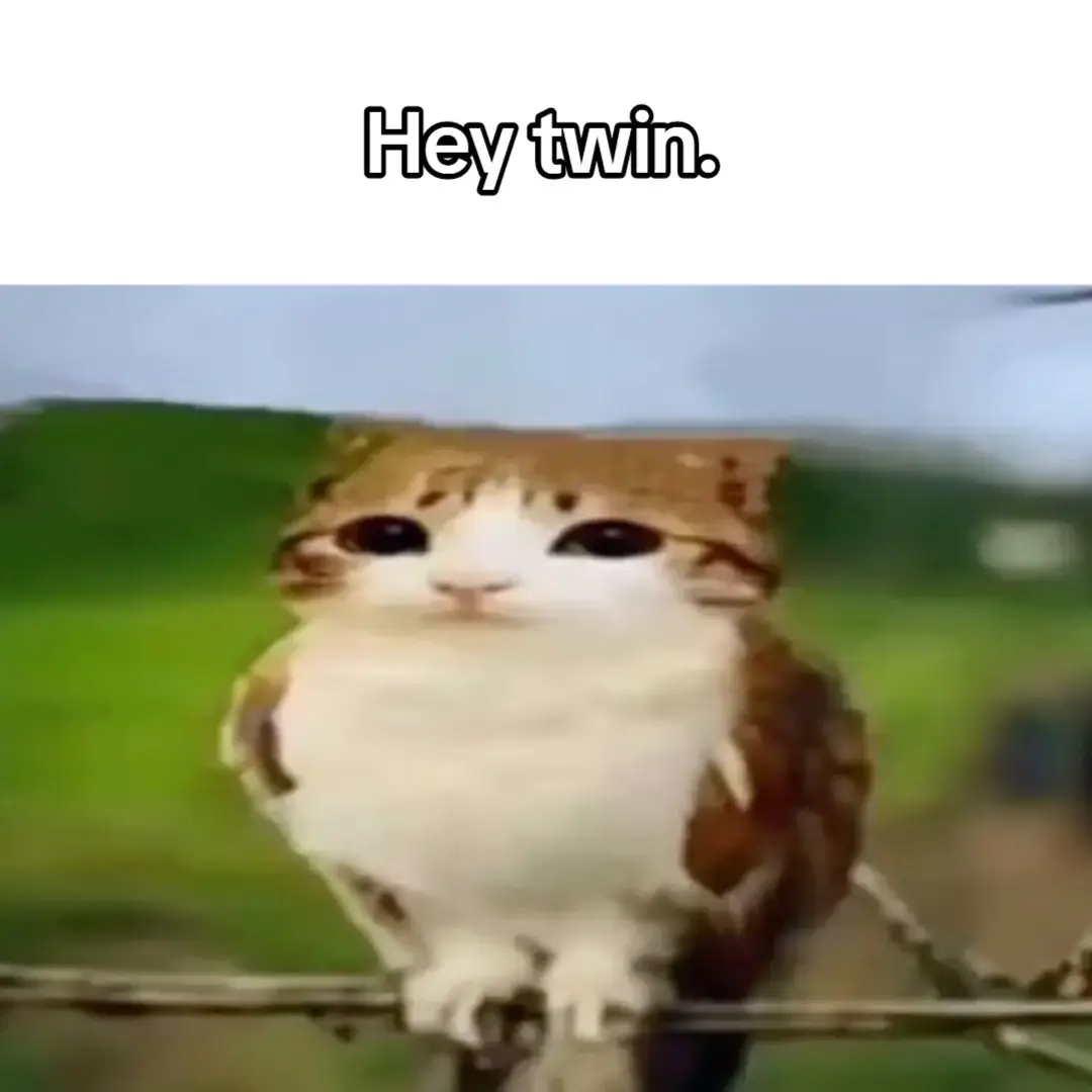 I support you no matter what #viral #million #fyp #foryoupage #Twin