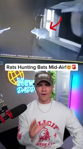 Last couple months of 2025 i swear…😂