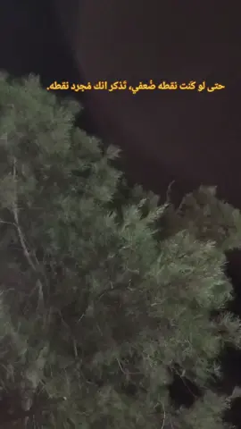 #potography #viral #foryou  🍃🪾