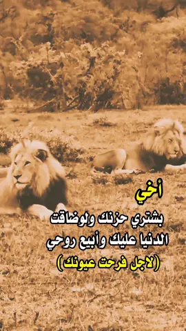 #tiktok #fyp #عبارات 