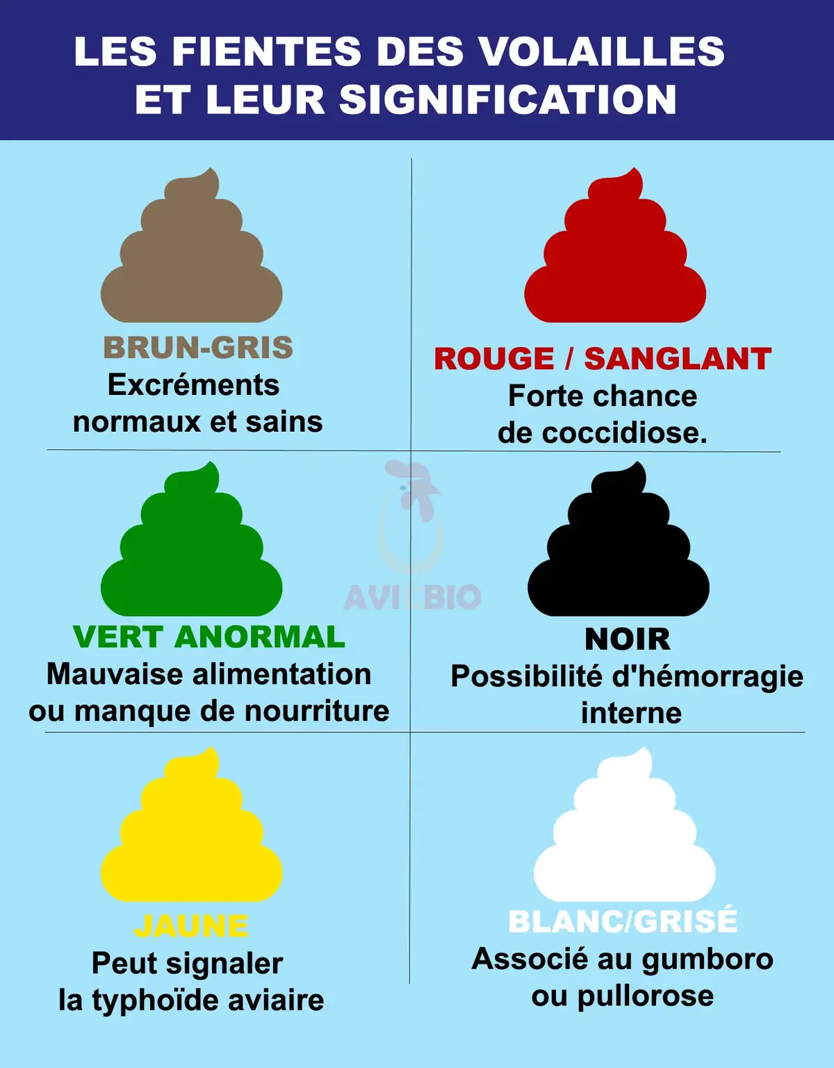 🐓 Les différentes types de fiente et leur signification. 1- Brun qui tend vers le gris C'est la fiente normale d'un sujet. La fiente doit être compacte sans une très forte odeur. Il n'est pas rare de voir la couleur changer à cause de l'alimentation du sujet. 2- Rouge en sanglantée  Cette couleur indique très généralement la maladie de la coccidiose. Il y a donc des parasites présents dans le poulailler qui ont attaqué le système digestif des sujets. 3- Vert anormal  Cette couleur indique généralement que tes sujets sont mal nourris. Quand il y a une mauvaise alimentation cela donne la texture verdâtre à la fiente. Cette couleur peut aussi indiquer la maladie de Newcastel. Dans ce cas il y aura une forte mortalité. 4- Noir La fiente noire anormale indique qu'il y a une possibilité d'hémorragie interne au niveau des sujets. Le sang se coagule dans le tube digestif et donne cette couleur noire. 5- Jaune  Cette couleur jaune indique généralement une typhoïde aviaire chez les sujets. Cela veut dire qu'il n'y a pas du tout une bonne hygiène dans le poulailler. Dans certains cas, cette couleur jaune peut indiquer une carence en calcium au niveau des poules. Dans ce cas, la coquille d'œuf ne se forme plus et la poule expulse le jaune d'œuf et la fiente ensemble. 6- Blanc  Une fiente blanche indique généralement la maladie du gumboro et elle est observée dans la majorité des cas chez les sujets de 0 à 8 semaine. Si tu veux plus de conseils pour préserver la santé de tes sujets, abonne-toi et rejoins la chaîne WhatsApp. #poulet #aviculture #volaille #élevage 