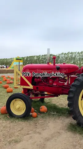 Nature’s treasure hunt: pumpkin picking edition!🎃 #autumnvibes #pumkin #autumn #fyp #trend