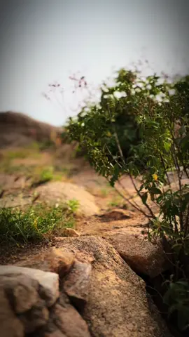 قصة حياتك#كن_قويا_فالحياة_لا_تقبل#اكسبلورexplore 