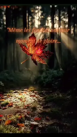 #flypシ #ecriture #humour 