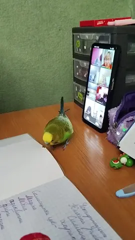 #новый ученик Гоша😁