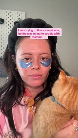 I love this nugget 💖 #thegirlwhoanalyzes #cats #catsoftiktok #boycat #orangecat 