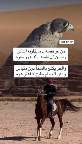 #فلسطين_أحساس_شاعر_لايك_فضلآ_وليس_أمرآ 