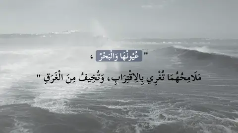 اكو عامل مشترك ، بيّن الاثنين 🤷‍♂️ #fyppppppppppppppppppppppp #foryoupage #هواجيس #خواطر #B7r 