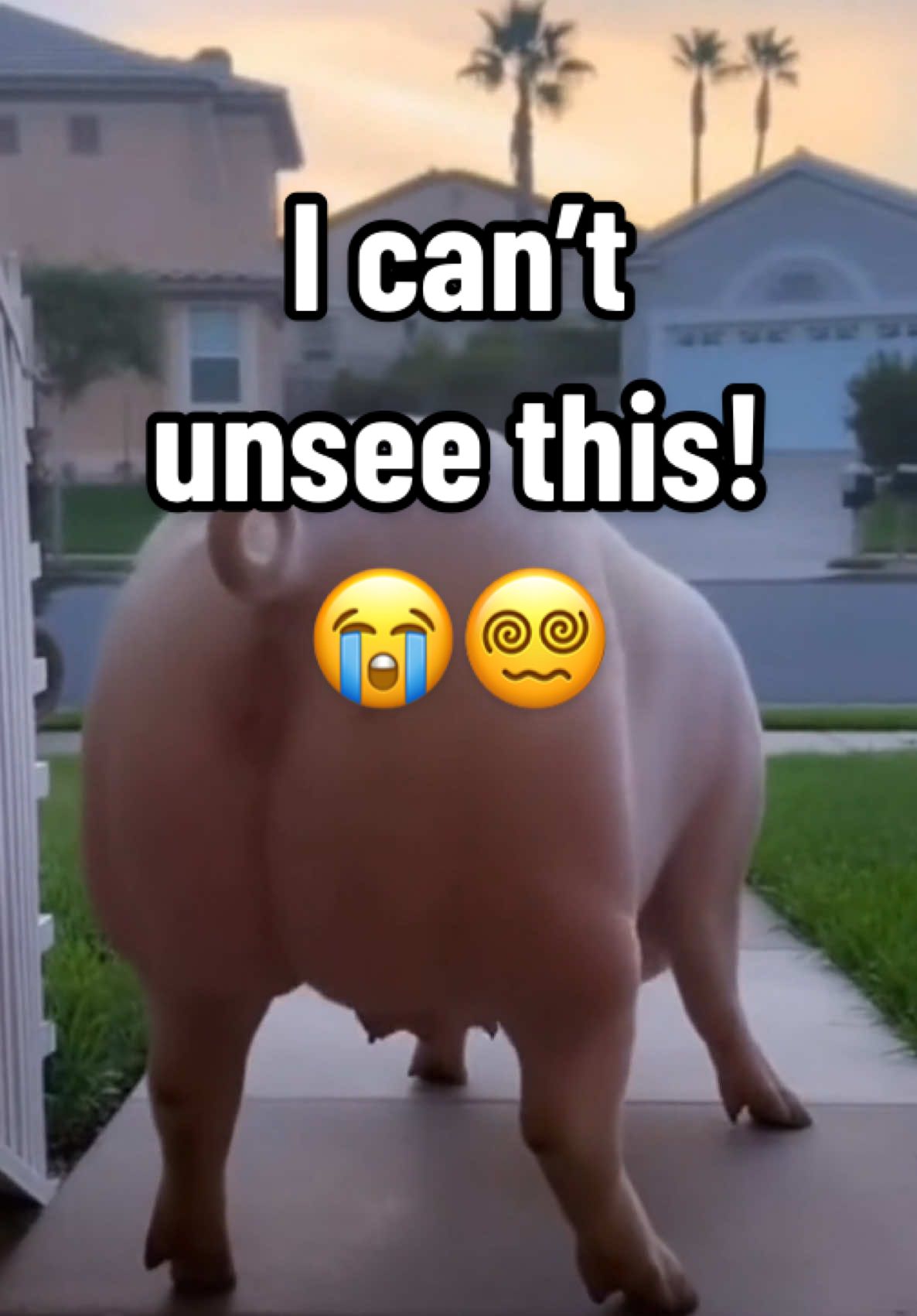 Spy cam footage shows a pig, a moose and a bear absolutely owning the beat. 🕺 Nature’s not sleeping — it’s clubbing. 🥳 Tag your friend who dances like this 😂👇 #funnyanimals #fyp #ai #soraai #sora 