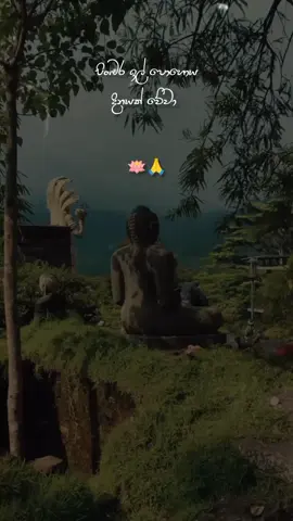 පිංබර ඉල් පොහොය දිනයක් වේවා ඔබ සැමට 🪷🙏  #trending #poyaday #statusvideo #tifi #wairal__video 