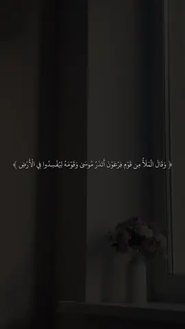 #القارئ #ماهرالمعيقلي #🖤✨ #quran #fyp #قران #sb3zaid0 