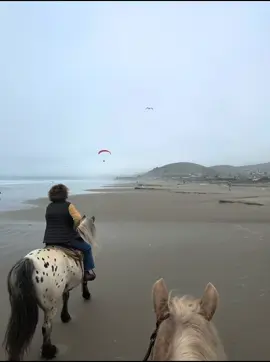 How broke are your horses? Well see how they do when a parasailer goes over you 😂 and then the king tides coming in. What a ride! #kingtides #parasailing #horsebackriding #morrobay #beach 
