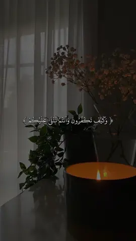 #القارئ #ماهرالمعيقلي #🖤✨ #quran #fyp #قران #sb3zaid0 