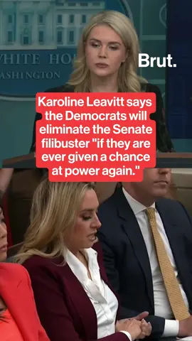 During a White House press briefing on November 4, Press Secretary Karoline Leavitt said that Democrats would support Trump's push to eliminate the Senate filibuster rule 