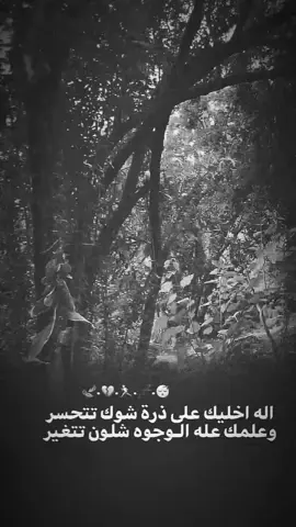 ‼️🍃💔..#تصميم_فيديوهات🎶🎤🎬 #عبارات_حزينه💔 #تصميم #عبارات #ستوريات 