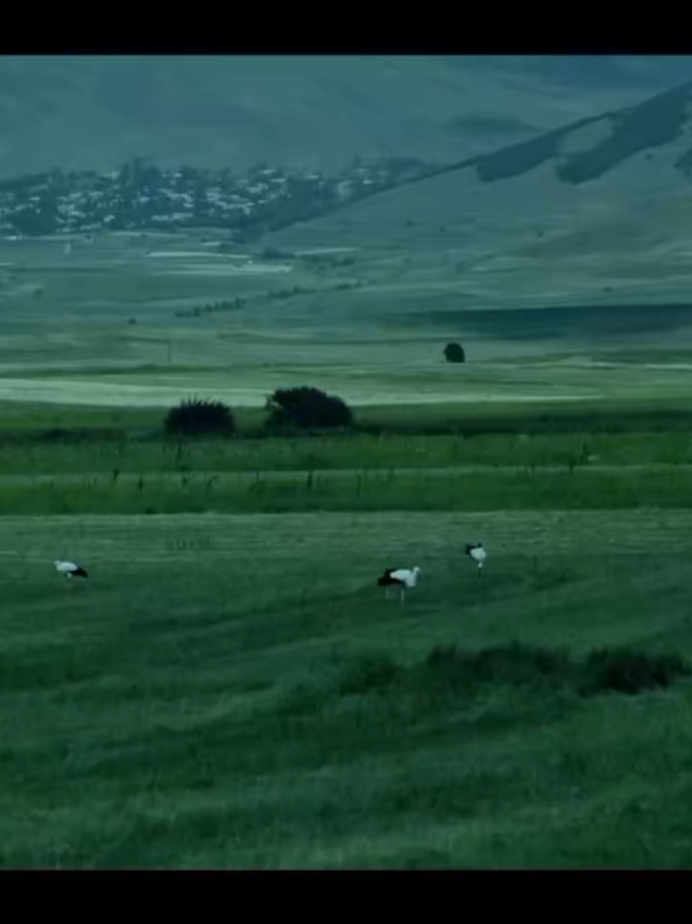 خـيرٍ آلُِخـطُآئين آلُِتوُآبَوُن 🫀#  الحمدلله 🤍# #لايك_متابعه_اكسبلور 🤍#