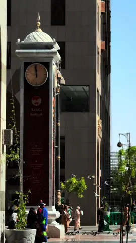 والإنسان خلقَه وركَّبَه وفي أحسن صُورةٍ صوَّرَه، وأمرَه بالتفكُّر بما في جسدِه من الآيات، وقال لعباده: ﴿ هَذَا خَلْقُ اللَّهِ فَأَرُونِي مَاذَا خَلَقَ الَّذِينَ مِنْ دُونِهِ ﴾ [لقمان: 11] #عبدالمحسن_القاسم#اكسبلور#foryou#fyp#foryoupage