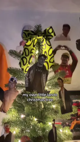 like last year🫶🏻 @Lando Norris @LN⁴  #LANDONORRIS 