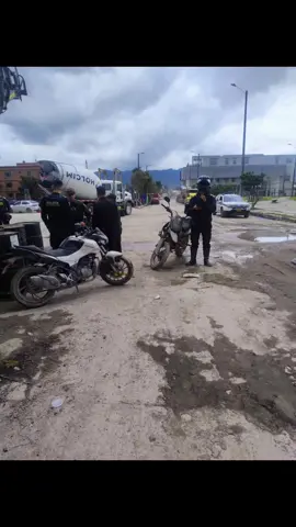 #CapCutratas de celulares en ciudad verde 🐀📱🐀📱🐀📱🐀📱