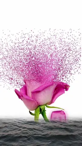 سبحان الله والحمد الله ولاإله إلا الله والله اكبر ولا حول ولا قوة الا بالله #تعليقات #اكسبلورر 