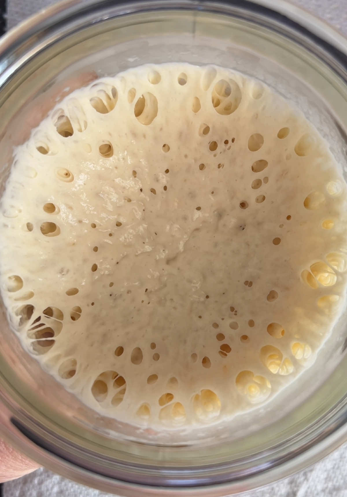 Sourdough things ya’ now? It just is what it is. Sorry. 😁 #sourdough #sourdoughbread #sourdoughstarter #sourdoughtok #sourdoughforbeginners 