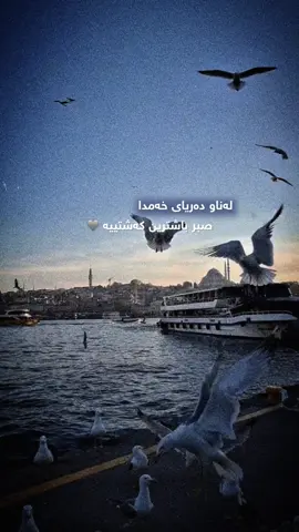 صبر.!#foryoupage #foryou 