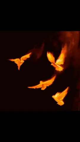 feel this lyrics...🖤🔥🎧 || ʀᴇᴘᴏsᴛ ʀᴇϙᴜᴇsᴛ || #ɴᴀғᴀᴋ_ʟʏʀɪᴄs_sᴏɴɢ  #_ғᴏʀʏᴏᴜ_ғᴏʀʏᴏᴜᴘᴀɢᴇ #_ɢʀᴏᴡ_ᴀᴄᴄᴏᴜɴᴛ #ᴠɪʀᴀʟ_ᴜɴғʀᴇᴇᴢᴇ_ᴍʏ_ᴀᴄᴄᴏᴜɴᴛ #ɴᴀғᴀᴋ_ᴇᴅɪᴛs @🦋ɴᴜsʀᴀᴛ⸙͎