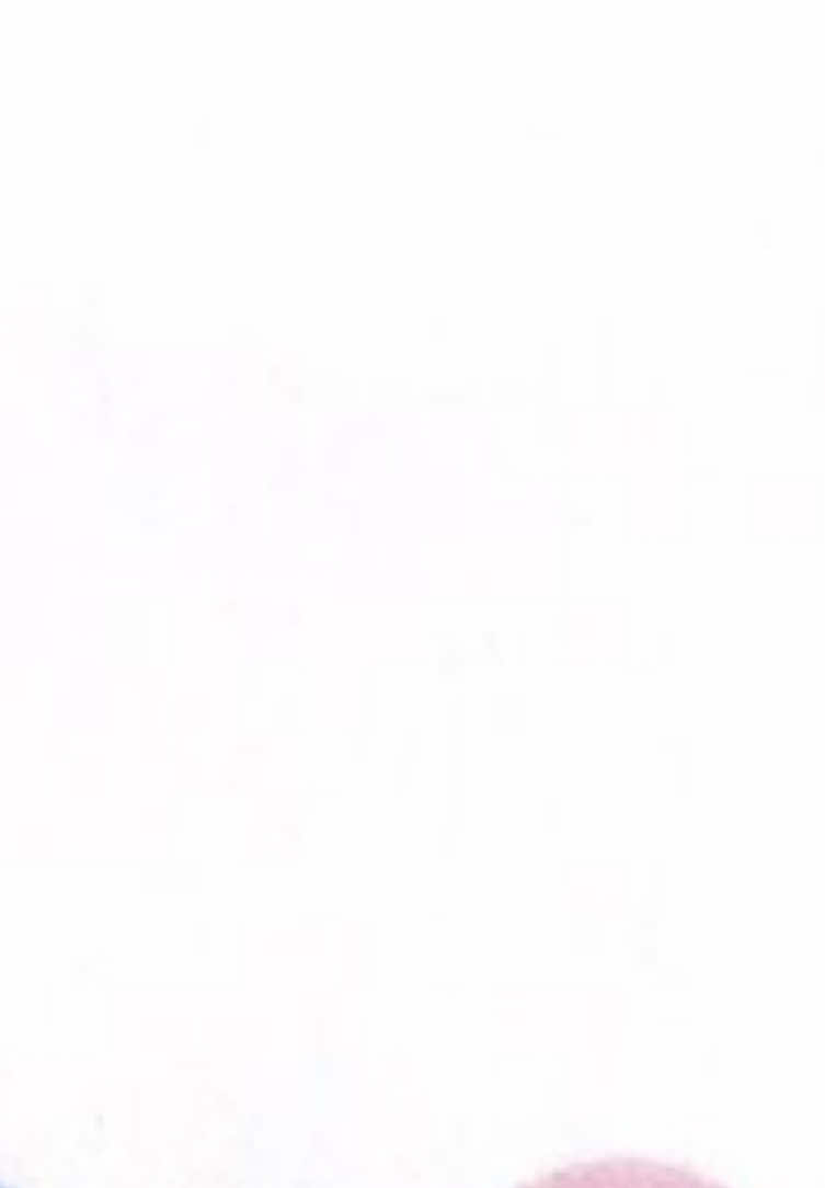 #MULTIFANDOM : poxa amanha ainda eh quarta, euso espero que nao flope|| #viraliza #viral #foryoupage #naoflopa 