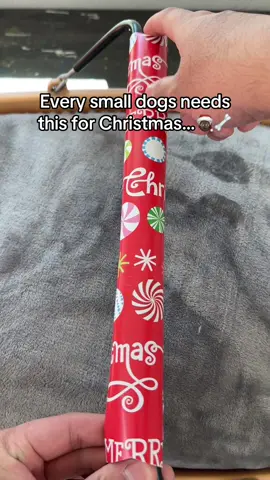 The most wholesome dog gift! 😭❤️ #tiktokmademebuyit #doglover #smalldog #christmas #toastyhoody 