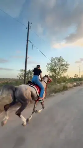 #خيل_وخياله🐎 #tiktok #dancewithpubgm #naruto 