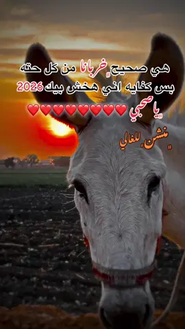 ﮼اخوياا😂❤️#مصمم_فيديوهات🎬🎵 #تصويري📷 #جبراتت📮 #حلات_واتس #الشعب_الصيني_ماله_حل😂😂 