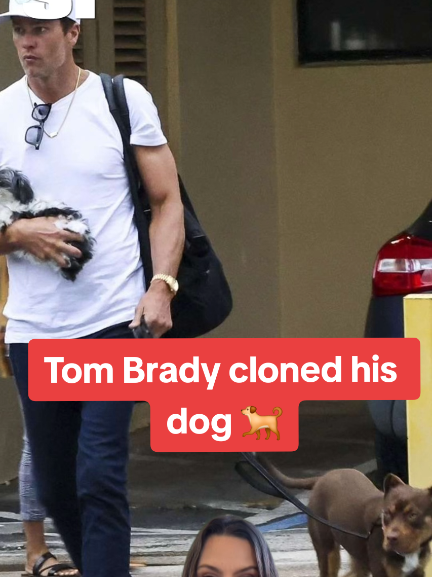 Tom Brady went the extra mile for his current dog Junie 🐕  #tombrady #clone #dog 