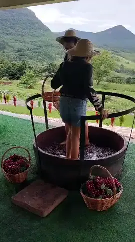 Terra Nostra rsrs! #gramado #natalluz #vinicula #viagem #ferias 