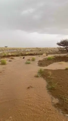 الله يجيب الخير 🌧️🌧️⛈️