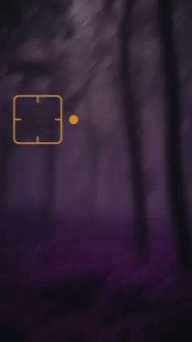 وأما من خاف مقام ربه ونهى النفس عن الهوى 🤲🏽 #القران_الكريم #سورة_النازعات #اسلام_صبحي #اكتب_شي_توجر_عليه #اللهم_صل_وسلم_على_نبينا_محمد 