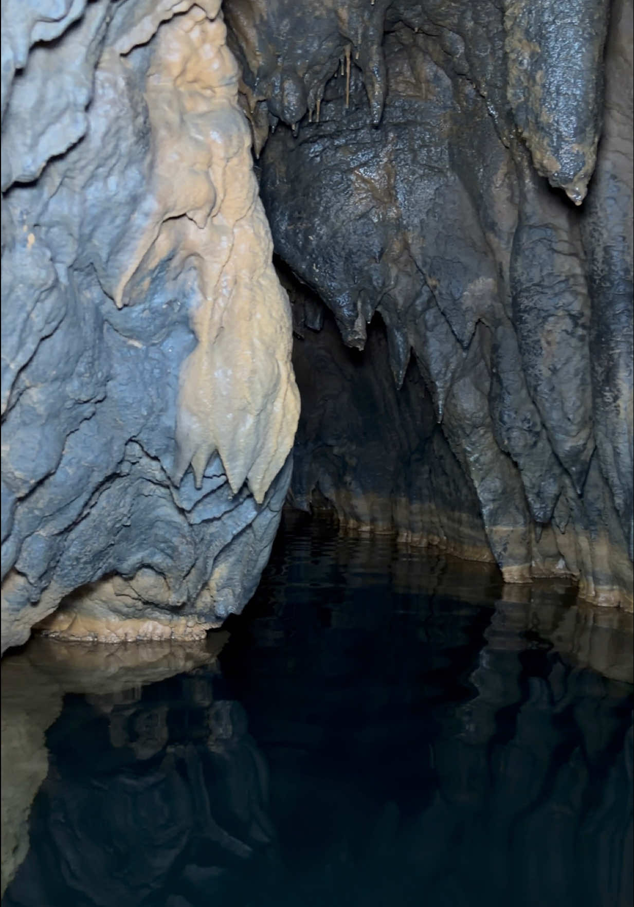 مغارة مار شليطا، بعمق وادي قنات، كنز طبيعي وتاريخي بعدو منسي. مش مجرد تجاويف وصخور… هون في طبقات عمرها آلاف السنين، فيها بقايا حضارات مرقت وراحت، بس تركت أسرارها بهالصخور. هالموقع بحاجة لاهتمام علمي جدّي، ليتوثّق قبل ما يندثر أو ينهار. بدعي كل لبناني يشوف جمال بلده المخفي… شاركوا الفيديو، يمكن بصوتنا نوصل رسالة توصل للمسؤولين، وتتصوّن هالتحفة اللي اسمها مغارة مار شليطا.” #تاريخ_الأزمنة #لبنان_المخفي #مغارة_مار_شليطا #استكشاف_لبنان #جورج_الغصين 