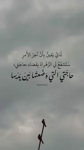 هل جرّبت يومًا أن تحمل حاجتك التي ملأت قلبك، وتسير بها نحو السيدة فاطمة، لتضعها بين يديها؟ تُغلق كلّ أسباب الأرض، تضيق الطرق، وتبتعد المسافات، فلا تجد مهربًا إلا الله... فتقصد إحدى أعظم أبوابه: باب الزهراء. تأتي إلى عزائها بقلبٍ منكسر، قاصدًا وجهها، وبركة يديها، وشفاعتها. تُحدّثها عن حاجتك التي سكنت صدرك، عن الأمنية التي ملأت قلبك وروحك، تُناجيها كالأمّ الحنون، تضع بين يديها ما لم تقدر أن تضعه أمام أحد. تمرّ الأيام، وربما الشهور، ويبقى قلبك منتظرًا إشارتها... تعود إليها مرارًا، تحدّثها مجددًا عن حاجتك، عن وجعك، عن أملك، تُذكّرها، ظنًّا منك أنك تذكّرها لكن حاشا للزهراء أن تنسى من قصد بابها، ومن أودع بين يديها أمانة قلبه. حتى إن تأخّر القضاء، ابقَ على صلةٍ بها، على حديثٍ دائمٍ معها، اذهب إليها مرة اخرى، واسألها: هل تغيّر شيء؟ هل فُتح باب؟ هل لاح الفرج؟ ثم قُل لها من جديد: يا سيدتي، اشفعي لي عند الله، فإن الأمر عسير، والحاجة مُلحّة، والروح مُنهكة. أخبري الله عني، فمقامك عنده قادرٌ أن يُغيّر الأقدار، إن أنتِ شفعتِ لي. آخر الأمر… ستشفع، ستقضى الحاجة، وسيُجاب الدعاء، لأنها وُضعت بين أيدٍ أمينة، أيدٍ طاهرة لا تُردّ عند الله خائبة. حاجتي بين يديكِ الطاهرتين، وقبل أن أضع حاجتي… وضعتُ قلبي..                              