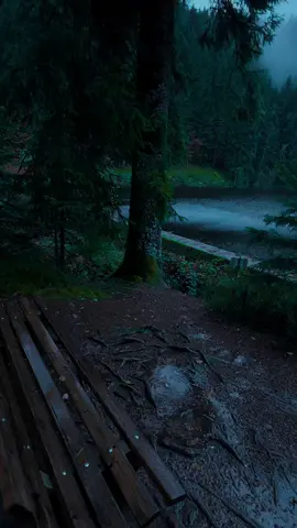 Dreaming🖤#nature #calm #darkaesthetic #naturephotography #foryоu 