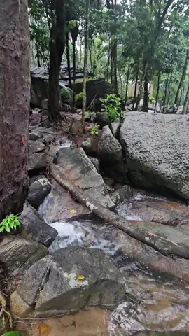 Oiiiiiiii 💓💓💓💓